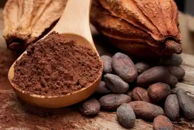 Cacao Amargo primera calidad